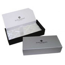 Stylo roller excellence Diplomat blanc perle