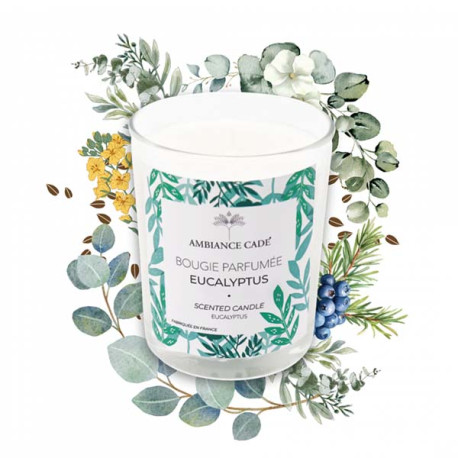 Bougie Ambiance Cade Parfum Eucalyptus