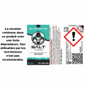 E-liquide Salt E-Vapor Ice Mint sel de nicotine