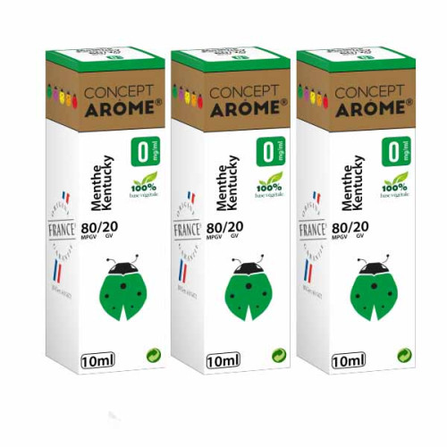 ConceptArome E-liquide Premium Saveur Menthe Tabac 30ml