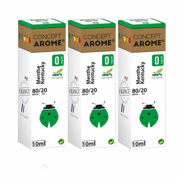 ConceptArome E-liquide Premium Saveur Menthe Tabac 30ml