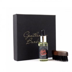Coffret de soin brosse à barbe et huile