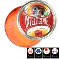 Pate intelligente Jaune/orange